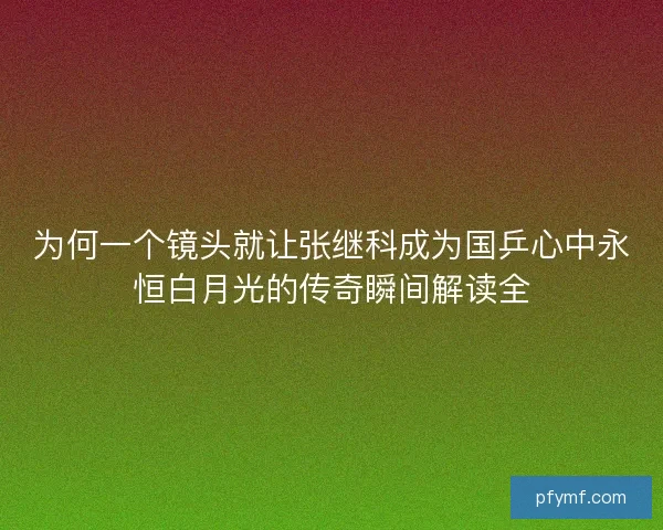 为何一个镜头就让张继科成为国乒心中永恒白月光的传奇瞬间解读全